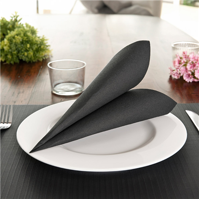 SERVIETTES ECOLABEL 'DOUBLE POINT' 18 G/M2 33x33 CM NOIR OUATE (1200 UNITÉ) – Image 3