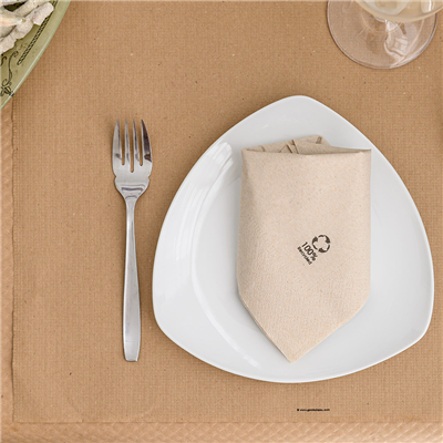 SERVIETTES ECOLABEL 2 PLIS  18 G/M2 33x33 CM NATUREL OUATE RECYCLÉE (2400 UNITÉ) – Image 3