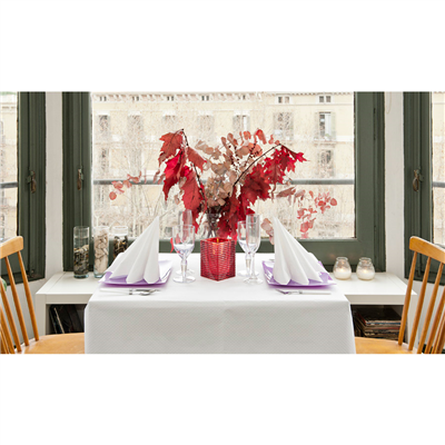NAPPE EN ROULEAU ANETO 48 G/M2 1,20x100 M BLANC CELLULOSE (4 UNITÉ) – Image 4