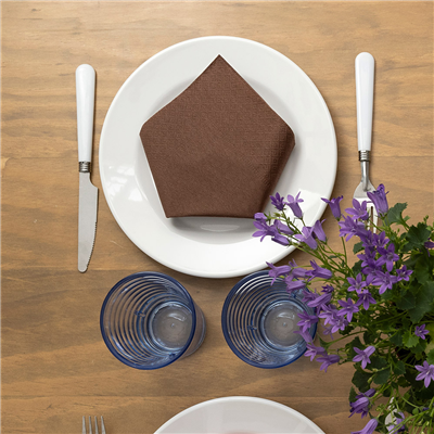 SERVIETTES ECOLABEL 2 PLIS  18 G/M2 39x39 CM CHOCOLAT OUATE (1600 UNITÉ) – Image 2