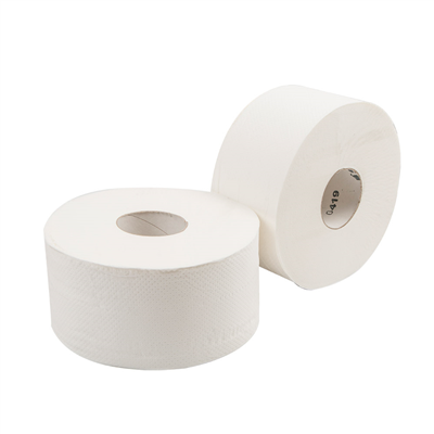 HYGIÉNIQUE "BABY JUMBO" ECOLABEL 2 PLIS  17 G/M2 Ø19,5x9,5 CM BLANC OUATE (12 UNITÉ)