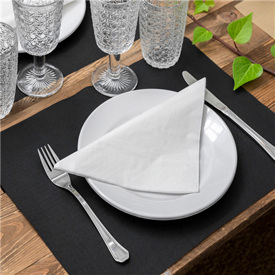 SETS DE TABLE 'SPUNBOND' 60 G/M2 30x40 CM NOIR PP (800 UNITÉ) – Image 2