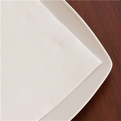 SERVIETTES ECOLABEL 'DOUBLE POINT' 18 G/M2 33x33 CM BLANC OUATE (1200 UNITÉ) – Image 3