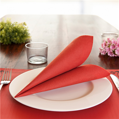 SERVIETTES ECOLABEL 'DOUBLE POINT' 18 G/M2 33x33 CM ROUGE OUATE (1200 UNITÉ) – Image 3