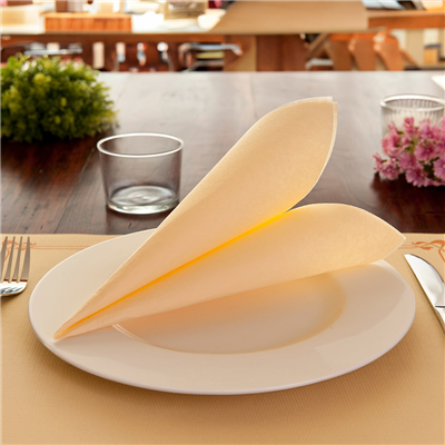 SERVIETTES ECOLABEL 'DOUBLE POINT' 18 G/M2 33x33 CM IVOIRE OUATE (1200 UNITÉ) – Image 4