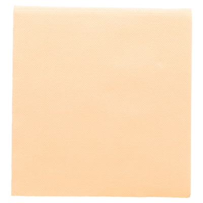 SERVIETTES ECOLABEL 'DOUBLE POINT' 18 G/M2 33x33 CM IVOIRE OUATE (1200 UNITÉ)