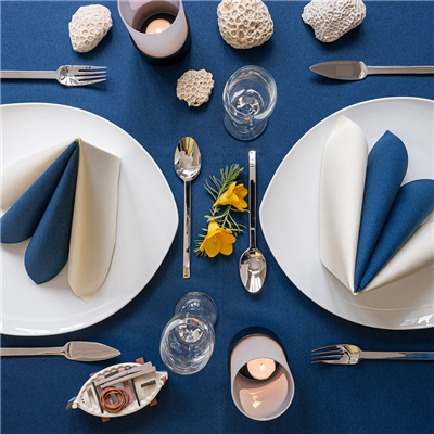 NAPPE EN ROULEAU  55 G/M2 1,20x50 M BLEU MARINE AIRLAID (1 UNITÉ) – Image 3