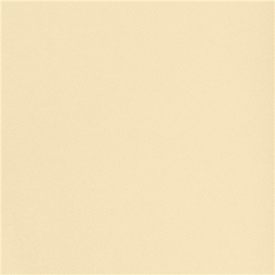 NAPPE PRÉ-DÉCOUPÉE - 60 SEGMENTS  55 G/M2 120x120 CM IVOIRE AIRLAID (4 UNITÉ) – Image 2