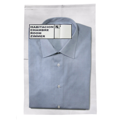 SACS POUR LINGE PROPRE  40µ 30x45 CM TRANSPARENT PP (500 UNITÉ)