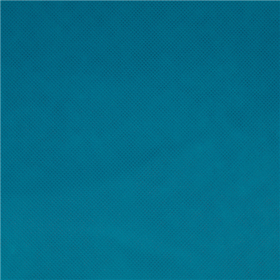 NAPPE PRÉ-DÉCOUPÉE 120 CM 'SPUNBOND' 60 G/M2 1,20x50,4 M TURQUOISE PP (1 UNITÉ) – Image 2