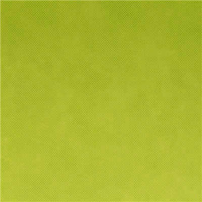 NAPPE PRÉ-DÉCOUPÉE 120 CM 'SPUNBOND' 60 G/M2 1,20x50,4 M LIME PP (1 UNITÉ) – Image 2