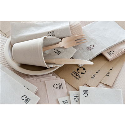 SERVIETTES ECOLABEL 'DOUBLE POINT' 19 G/M2 20x20 CM NATUREL OUATE RECYCLÉE (2400 UNITÉ) – Image 2