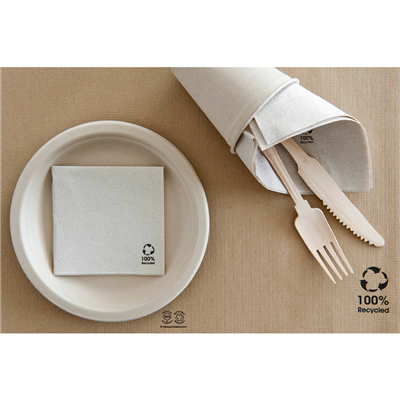 SERVIETTES ECOLABEL 'DOUBLE POINT' 19 G/M2 20x20 CM NATUREL OUATE RECYCLÉE (2400 UNITÉ) – Image 3
