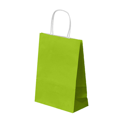 SACS SOS AVEC ANSES  80 G/M2 20+10x29 CM VERT ANIS CELLULOSE (250 UNITÉ)