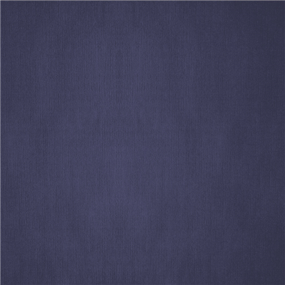 NAPPES PLIAGE M  48 G/M2 100x100 CM BLEU MARINE CELLULOSE (200 UNITÉ)