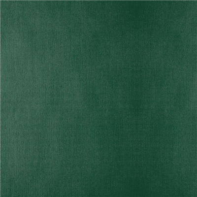 NAPPES PLIAGE M  48 G/M2 100x100 CM VERT JAGUAR CELLULOSE (200 UNITÉ)