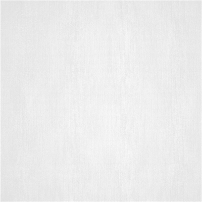 NAPPES PLIAGE M  48 G/M2 120x120 CM BLANC CELLULOSE (200 UNITÉ)