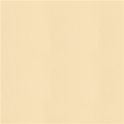 NAPPES PLIAGE Z  55 G/M2 100x100 CM IVOIRE AIRLAID (200 UNITÉ)