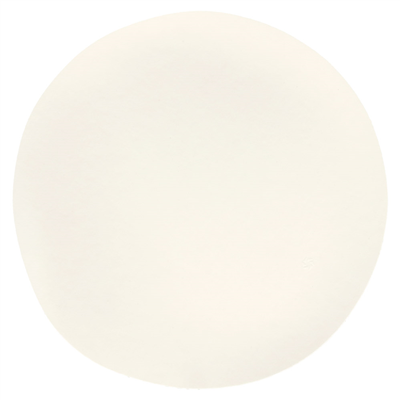 ASSIETTES MARU L 'BIONIC'  Ø 23x3,4 CM BLANC BAGASSE (100 UNITÉ) – Image 3
