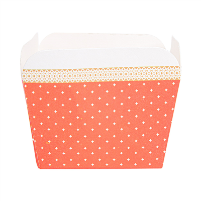 DELI-BARQUETTES  210 + 15 PE G/M2 4,8x4,8x4,9 CM ASSORTI CARTON (100 UNITÉ) – Image 2