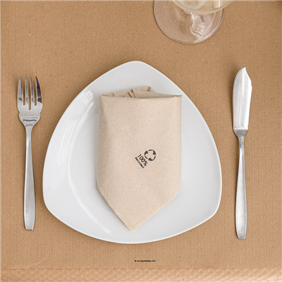 SERVIETTES ECOLABEL 2 PLIS  18 G/M2 30x30 CM NATUREL OUATE RECYCLÉE (2400 UNITÉ) – Image 2