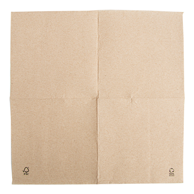SERVIETTES ECOLABEL 'DOUBLE POINT' 19 G/M2 30x30 CM NATUREL OUATE RECYCLÉE (1800 UNITÉ) – Image 4