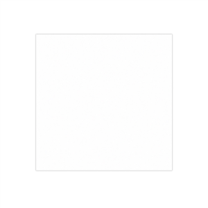 PAPIER INGRAISSABLES BASKET PFAS FREE  35 G/M2 31x31 CM BLANC PARCH.INGRAISSABLE (1000 UNITÉ)