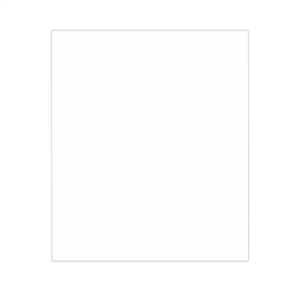 PAPIER INGRAISSABLES BASKET PFAS FREE  35 G/M2 31x38 CM BLANC PARCH.INGRAISSABLE (1000 UNITÉ)