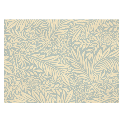 SETS DE TABLE OFFSET AMAZONIA 70 G/M2 30x42 CM QUADRICHROMIE PAPIER (2000 UNITÉ)
