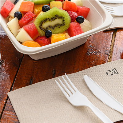 SACHET FOURCHETTE  18 CM BLANC CPLA (500 UNITÉ) – Image 2