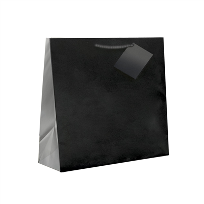 SACS BOUTIQUE ANSES CORDON  150 G/M2 12+7x16 CM NOIR CELLULOSE (100 UNITÉ)