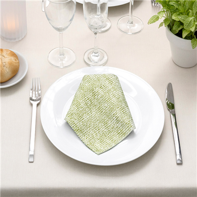 SERVIETTES P. 1/4 'LIKE LINEN - KEIKO' 70 G/M2 40x40 CM VERT OLIVE SPUNLACE (600 UNITÉ) – Image 2