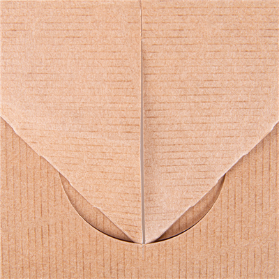 BOÎTES REPAS À EMPORTER 'THEPACK' 5 L 310 G/M2 26x20,5x11,3 CM NATUREL CARTON ONDULÉ NANO-MICRO (150 UNITÉ) – Image 5