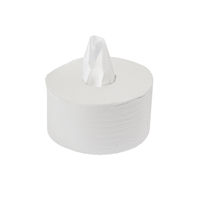 PAPIER TOILETTE ECOLABEL 2 COUCHES  17 G/M2 Ø20x11 CM BLANC OUATE (12 UNITÉ)