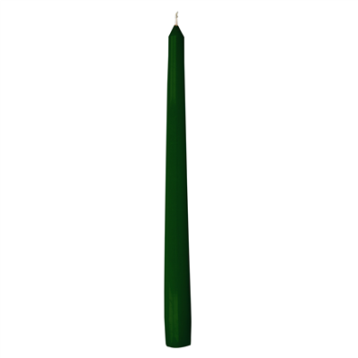 2 U. BOUGIES  Ø2x25 CM VERT CIRE (1 UNITÉ)