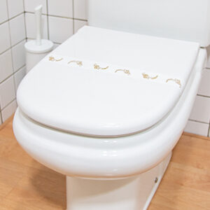 Bande sanitaire WC
