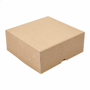 BOÎTES PATISSERIES SANS FENÊTRE 'THEPACK' 240 G/M2 21x21x7,5 CM NATUREL CARTON ONDULÉ NANO-MICRO (200 UNITÉ)