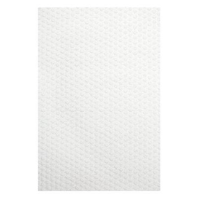 SERVIETTE USAGE UNIQUE  80 G/M2 60x100 CM BLANC VISCOSE / PULPE (100 UNITÉ)