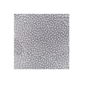 ALUMINIUM GAUFRÉ EN BOÎTE DISTRIBUTRICE  15µ 22,9x27,3 CM ARGENTE ALUMINIUM (500 UNITÉ)