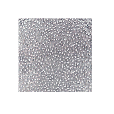 ALUMINIUM GAUFRÉ EN BOÎTE DISTRIBUTRICE  15µ 22,9x27,3 CM ARGENTE ALUMINIUM (500 UNITÉ)