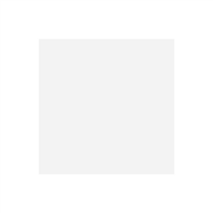 PAPIER 'PFAS FREE' GRILL&GO 40 G/M2 31x31 CM BLANC PARCH.INGRAISSABLE (1000 UNITÉ)