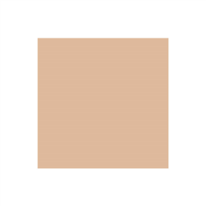 PAPIER 'PFAS FREE' GRILL&GO 38 G/M2 31x31 CM NATUREL PARCH.INGRAISSABLE (1000 UNITÉ)